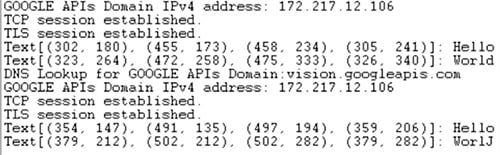 Terminal output from the GCP Vision API responses Image of terminal output from the GCP Vision API responses