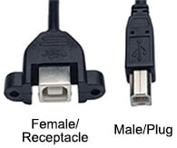 Male/plug and female/receptacle USB Type B connectors Image of male/plug and female/receptacle USB Type B connectors