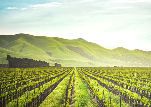 How a Capacitor Packaging Technology Will Change the Future of Farming