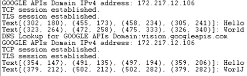 Image of terminal output from the GCP Vision API responses