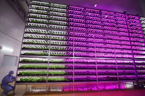 Image of Mirai vertical farm