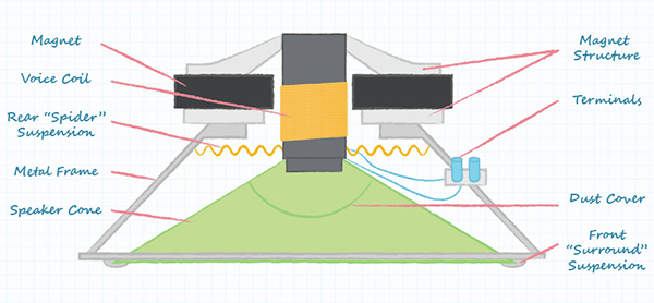 Diagrama de la estructura del altavoz estándar