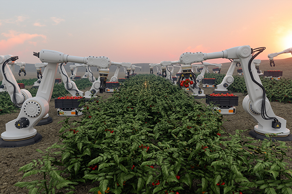 Image of harvesting autonomous robots that combine machine vision with AI and ML
