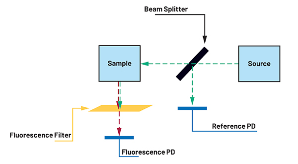 Diagram of optical path for fluorescence measurement