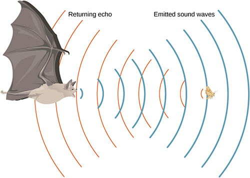 Diagram of electronic acoustic detection and position sensing