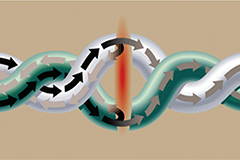 Image of Ensure Connectivity in Harsh Environments with Bonded-Pair Ethernet Cables