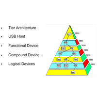 USB Introduction