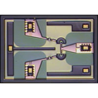 HMIC-LG
