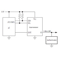 IP Protection