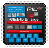 PIC32 Plug In Module