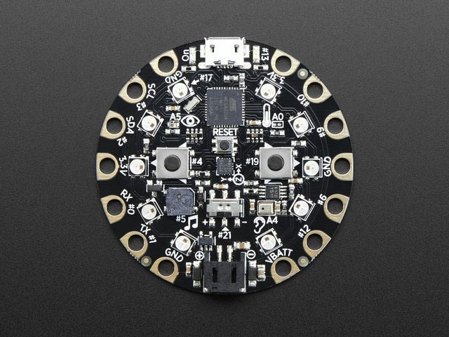 Circuit Playground Password Vault