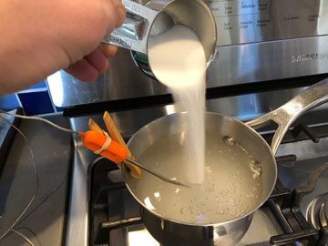 salt_24