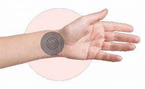 wrist